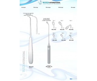 Rhinology 